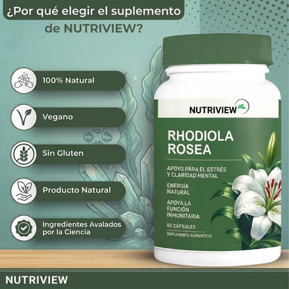 Suplemento Rhodiola Rosea