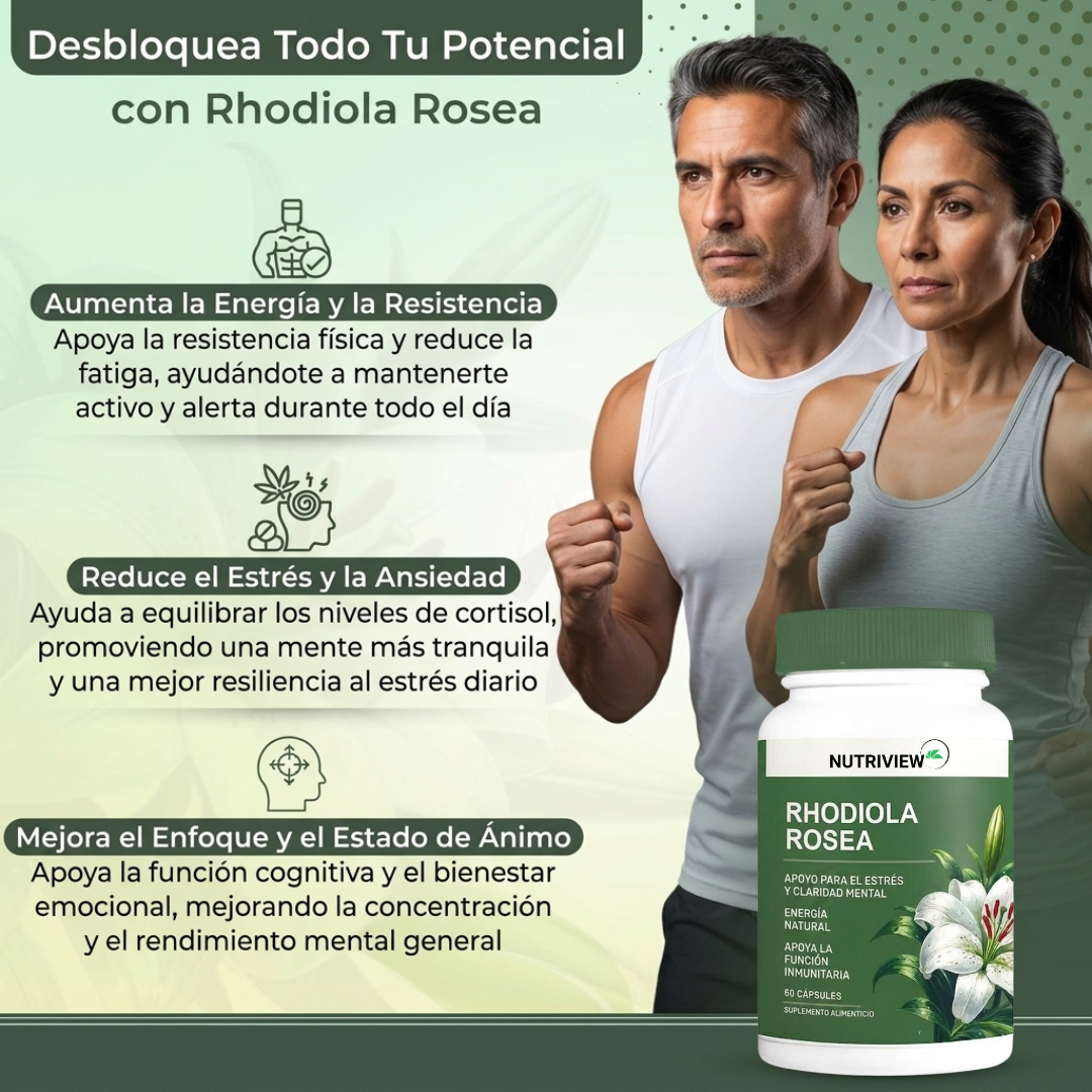 Suplemento Rhodiola Rosea